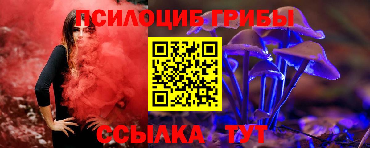 Псилоцибиновые грибы MAGIC MUSHROOMS  Вход с VPN  Иваново 